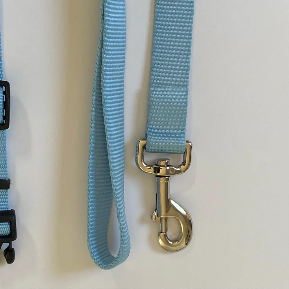 Dog Collar and Leash W/ Flower NEW Size Large Blue Hydrangea Tiff 45” Handmade